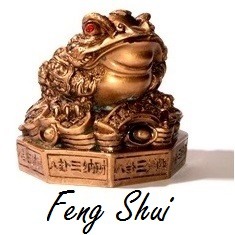 Feng Shui kikker